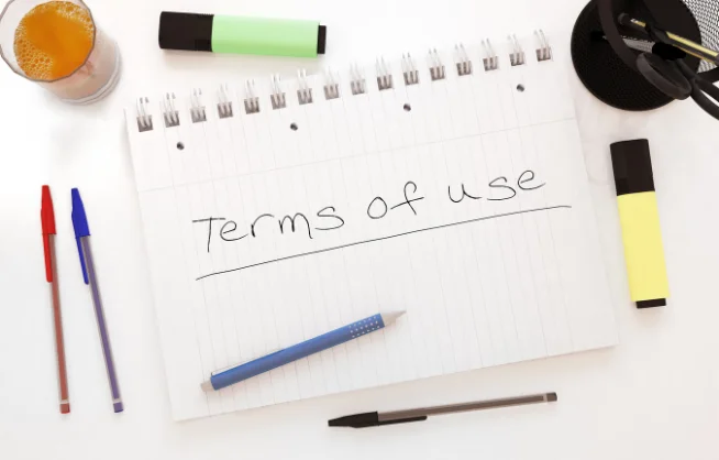 Nuno Sá Pessoa Terms of Use